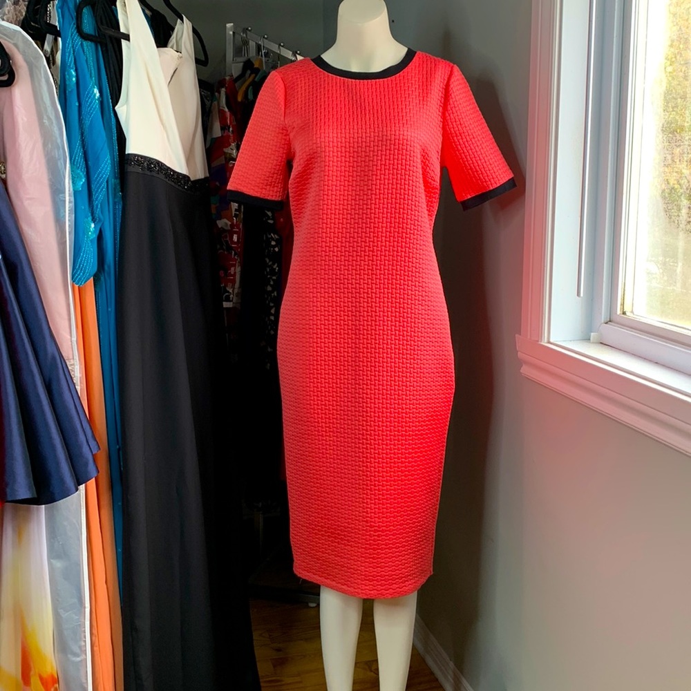 Coral Wiggle Pencil Dress Work Party  Medium New w